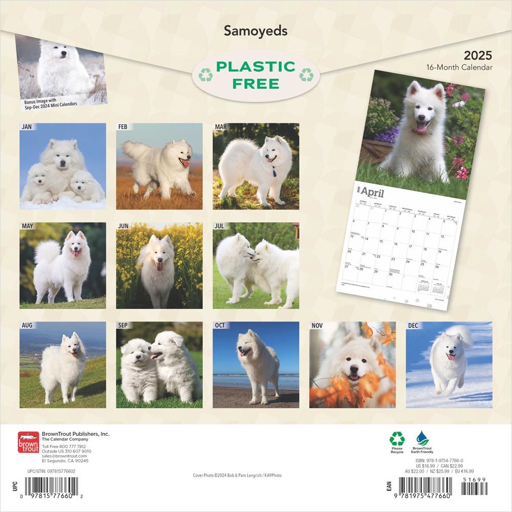 2025 Samoyeds Calendar