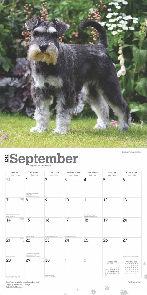 2025 Schnauzers Calendar