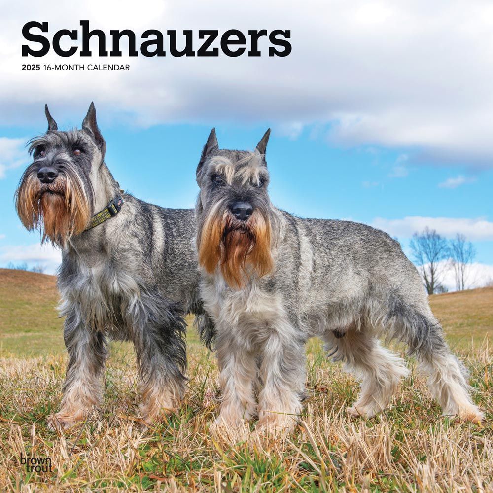 2025 Schnauzers Calendar