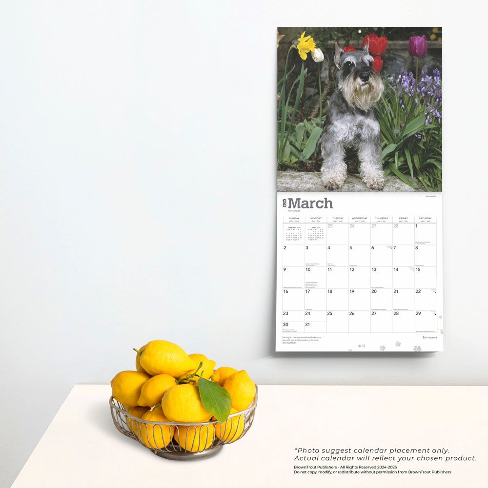 2025 Schnauzers Calendar