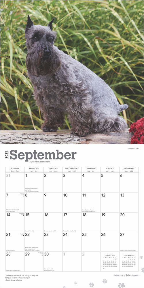 2025 Schnauzers Miniature Calendar