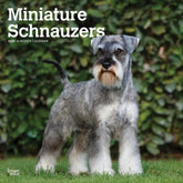 2025 Schnauzers Miniature Calendar