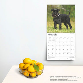 2025 Schnauzers Miniature Calendar