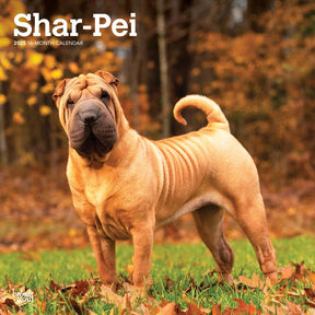 2025 Shar Pei Calendar