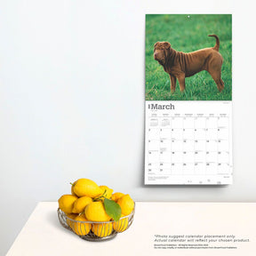 2025 Shar Pei Calendar