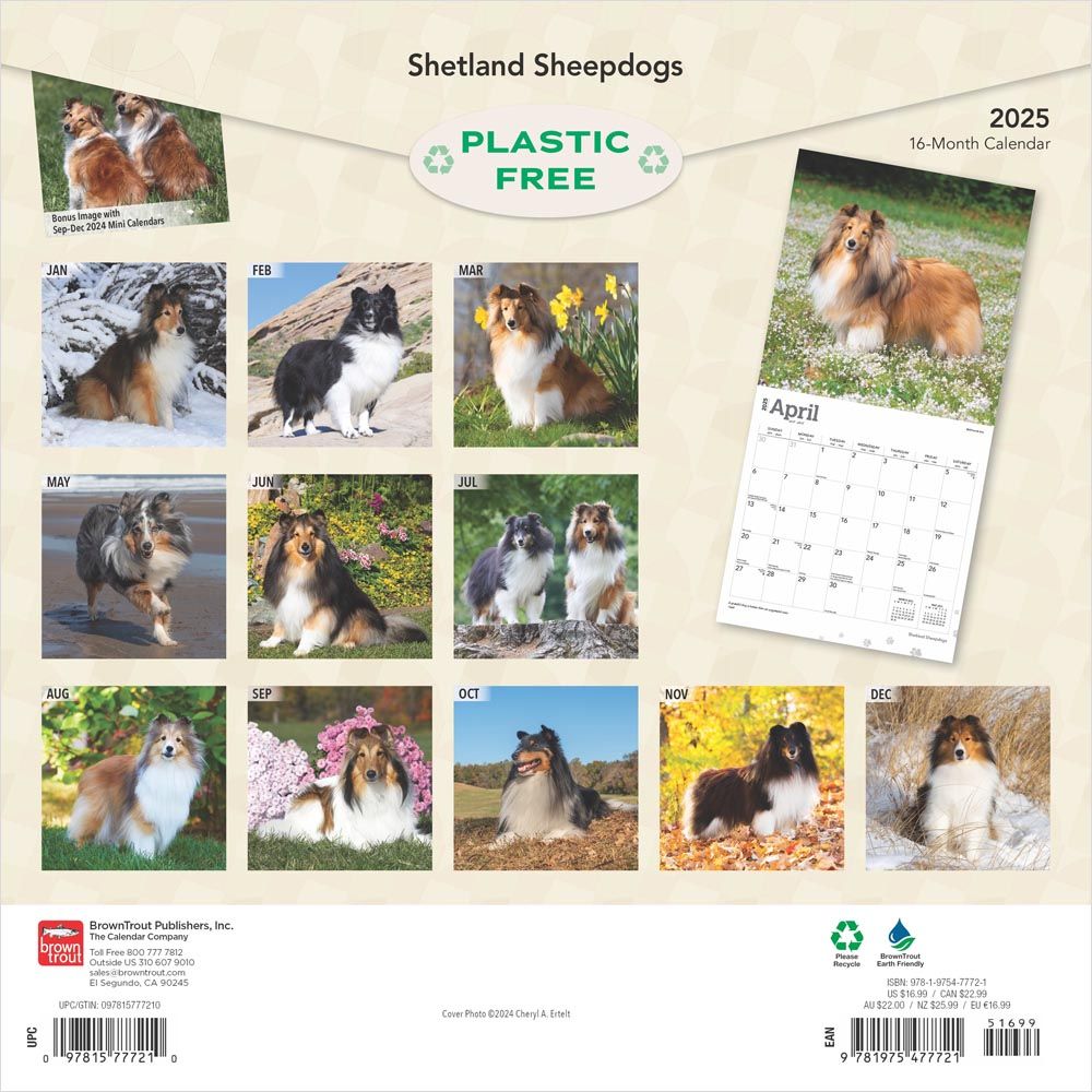 2025 Shetland Sheepdogs Calendar