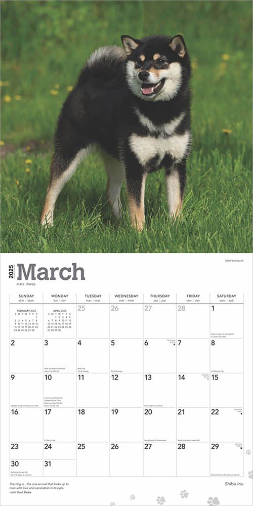 2025 Shiba Inu Calendar