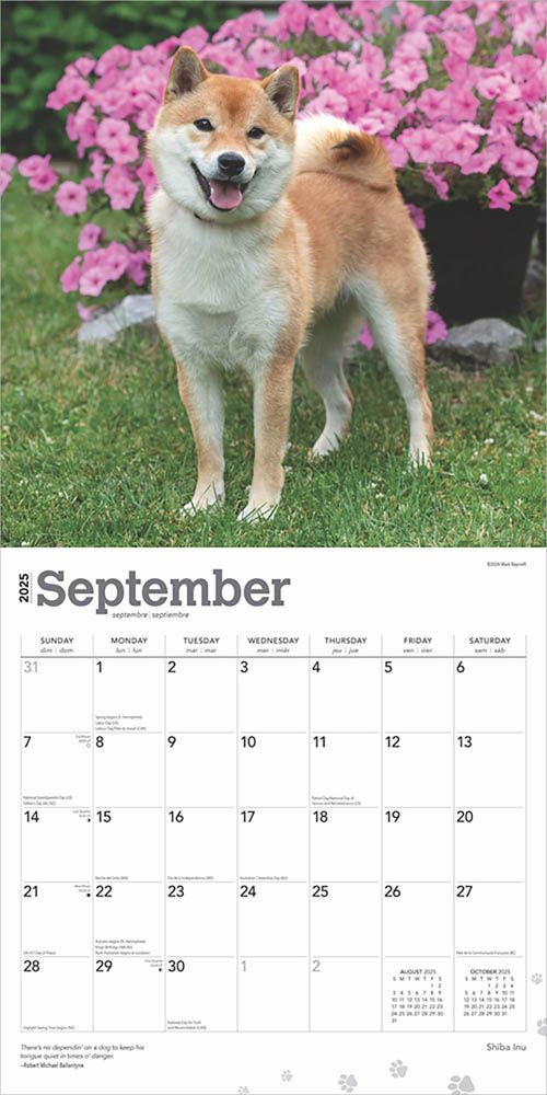 2025 Shiba Inu Calendar