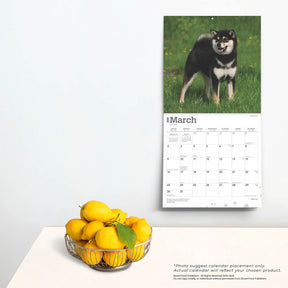 2025 Shiba Inu Calendar