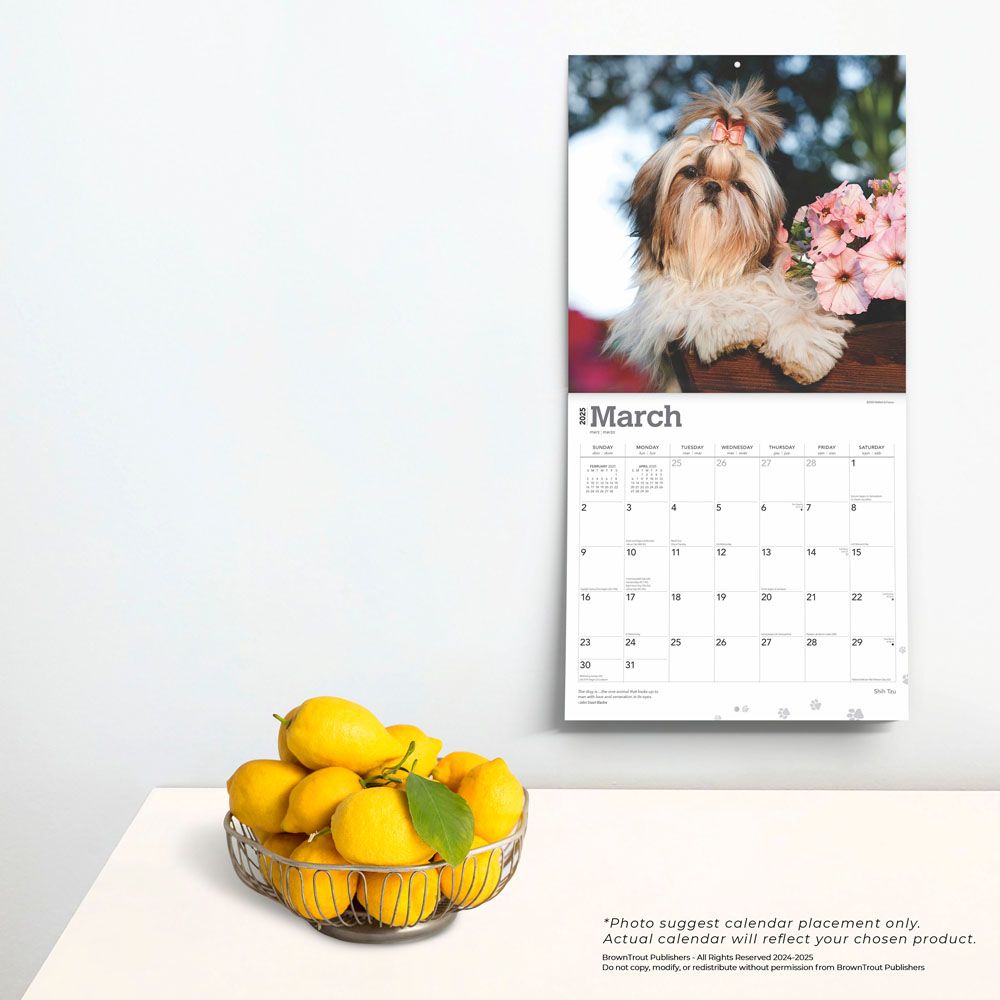 2025 Shih Tzu Calendar