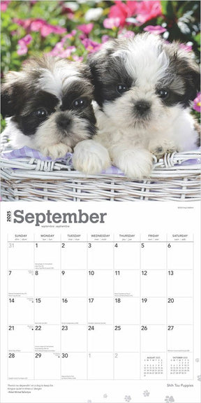 2025 Shih Tzu Puppies Calendar