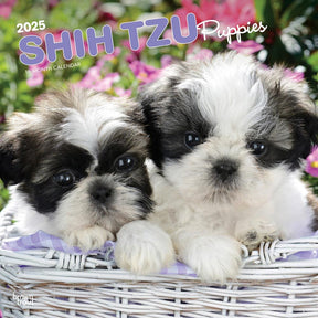 2025 Shih Tzu Puppies Calendar