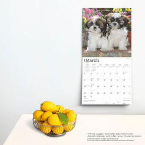 2025 Shih Tzu Puppies Calendar