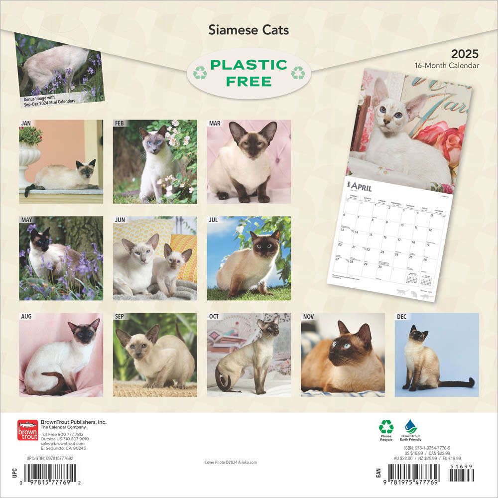 2025 Siamese Cats Calendar