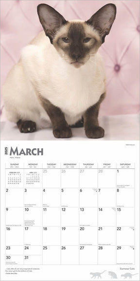 2025 Siamese Cats Calendar