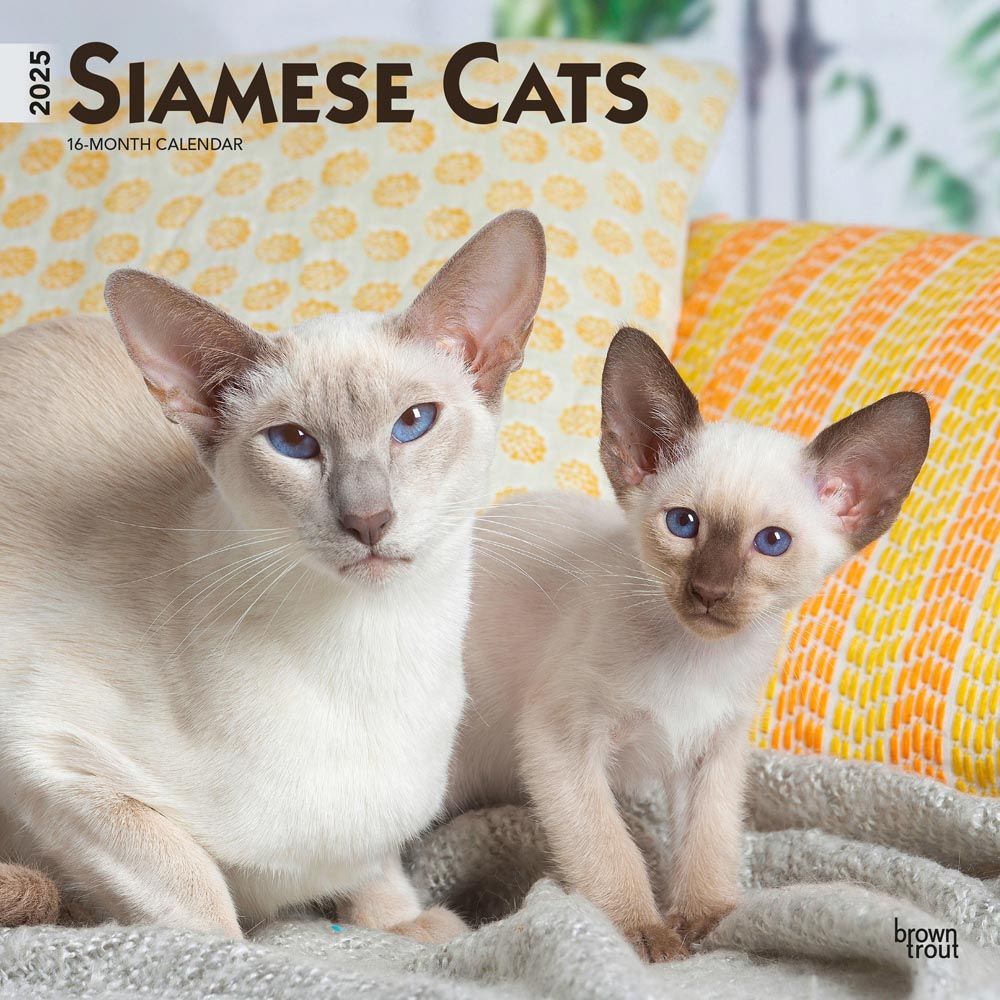 2025 Siamese Cats Calendar