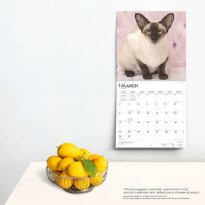 2025 Siamese Cats Calendar