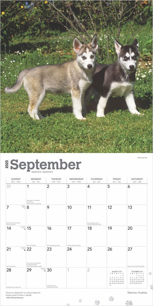 2025 Siberian Huskies Calendar