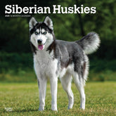 2025 Siberian Huskies Calendar