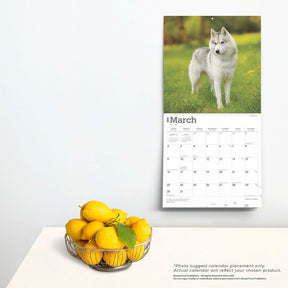 2025 Siberian Huskies Calendar