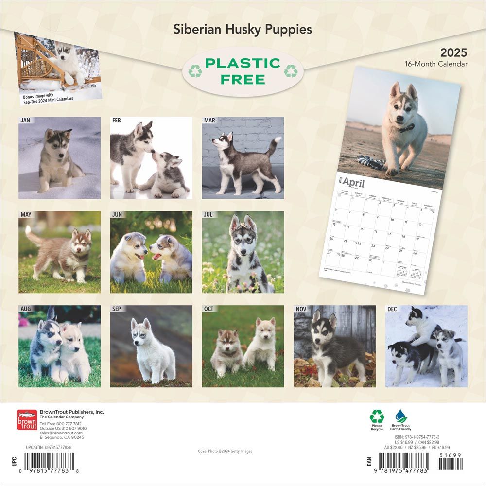 2025 Siberian Husky Puppies Calendar