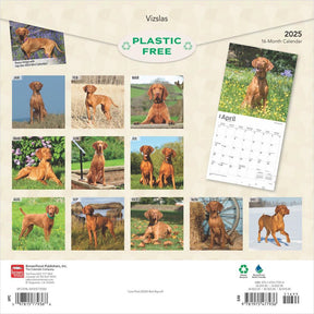 2025 Vizslas Calendar