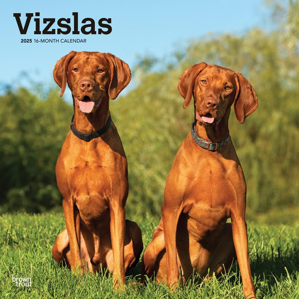 2025 Vizslas Calendar