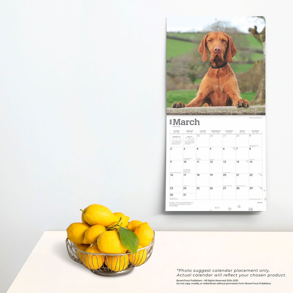 2025 Vizslas Calendar