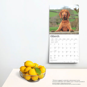 2025 Vizslas Calendar