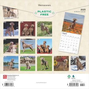 2025 Weimaraners Calendar