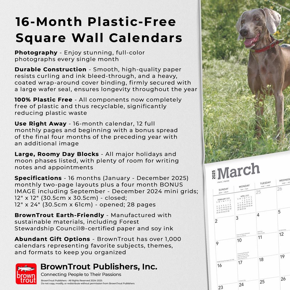 2025 Weimaraners Calendar