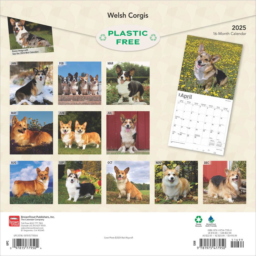 2025 Welsh Corgis Calendar