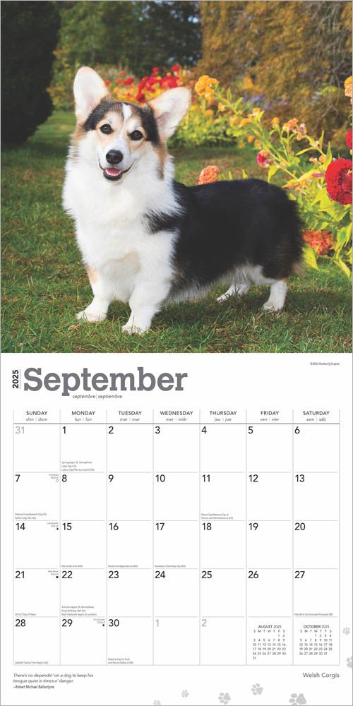 2025 Welsh Corgis Calendar