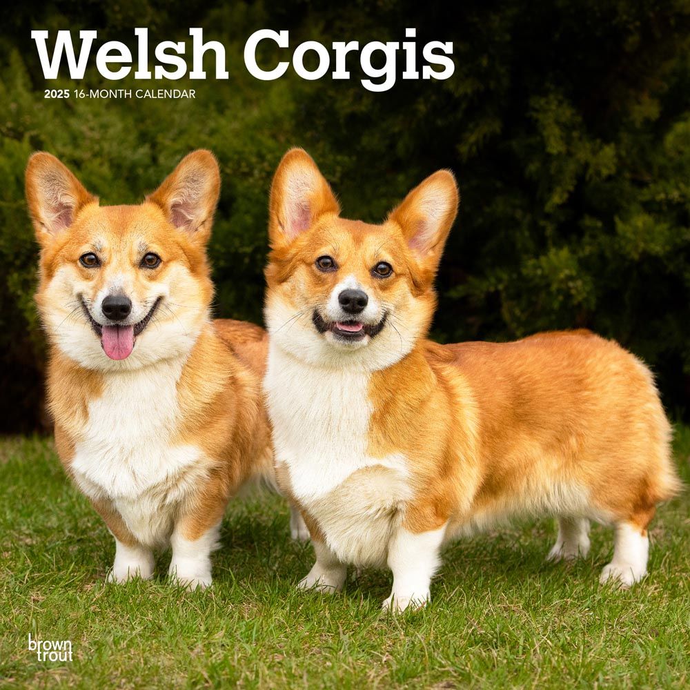 2025 Welsh Corgis Calendar