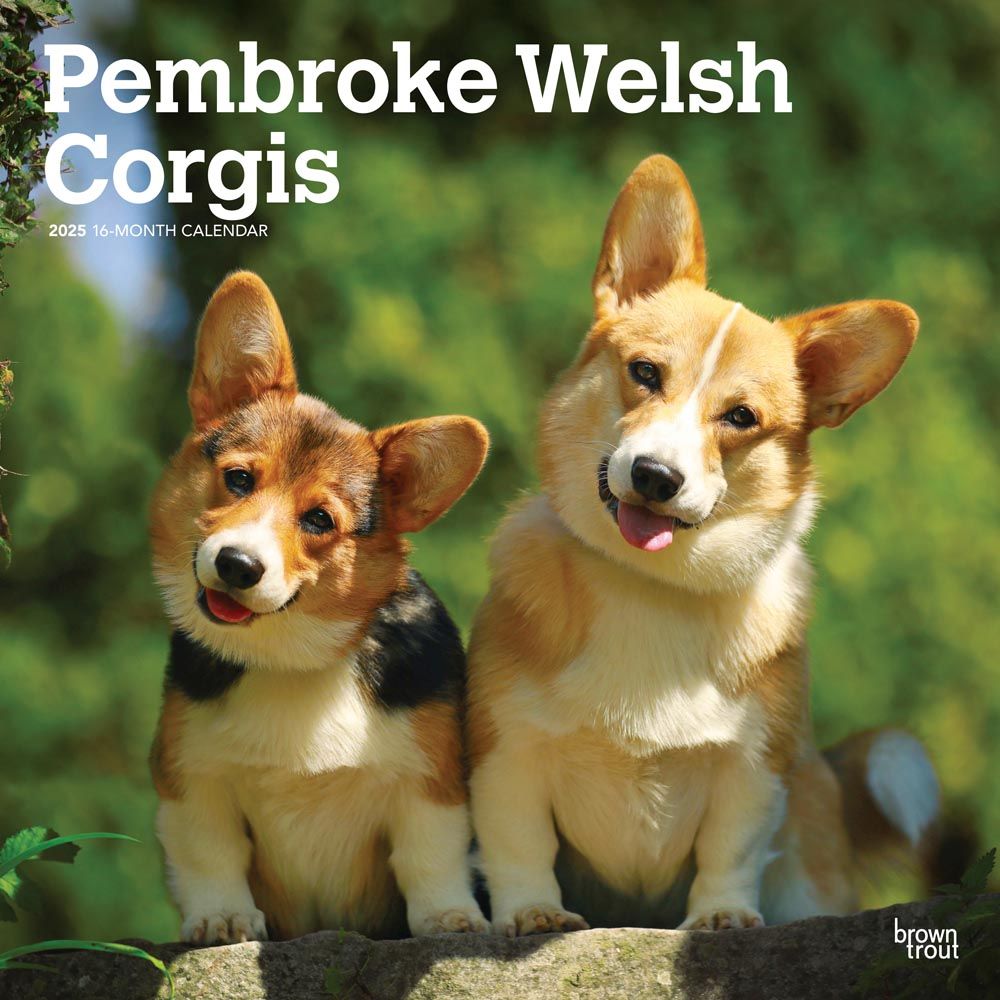 2025 Welsh Corgis Pembroke Calendar