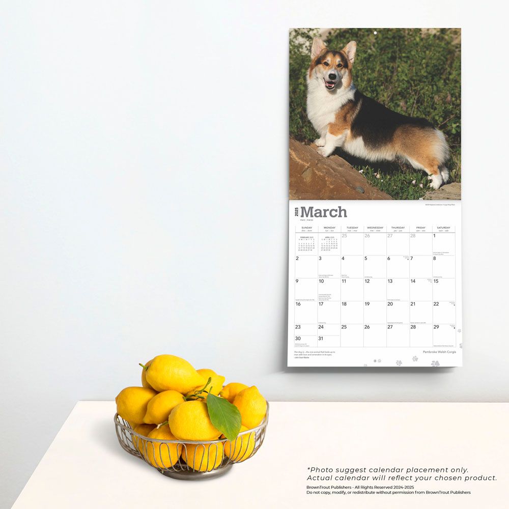 2025 Welsh Corgis Pembroke Calendar