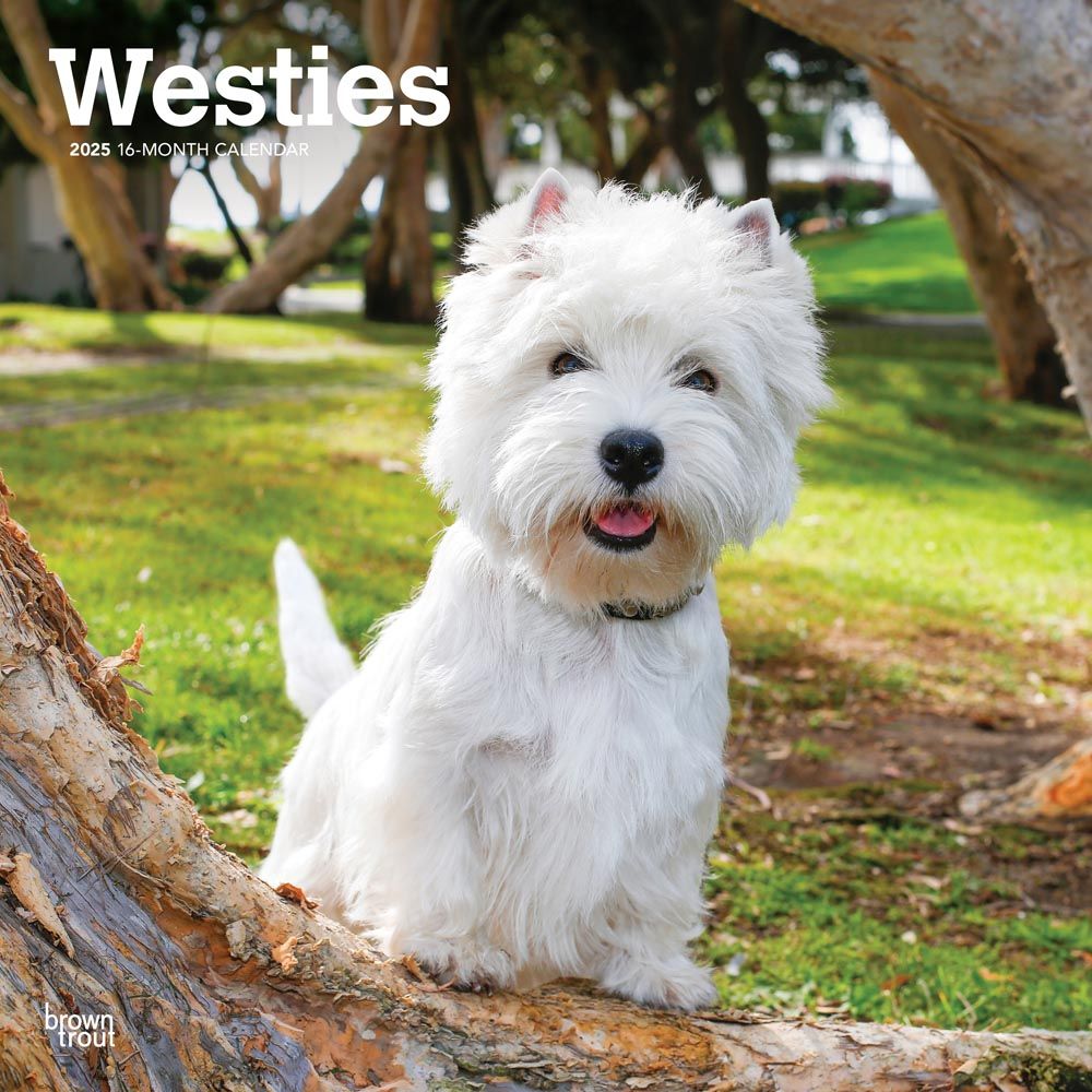 2025 West Highland White Terriers Calendar