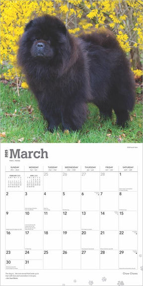 2025 Chow Chows Calendar