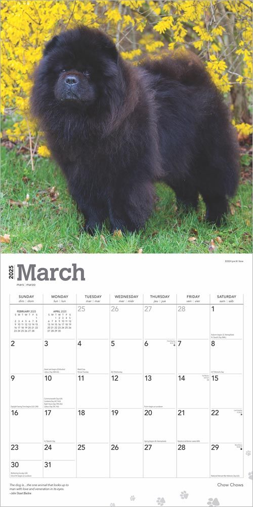 2025 Chow Chows Calendar