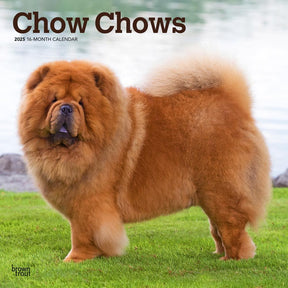 2025 Chow Chows Calendar