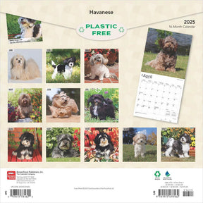 2025 Havanese Calendar