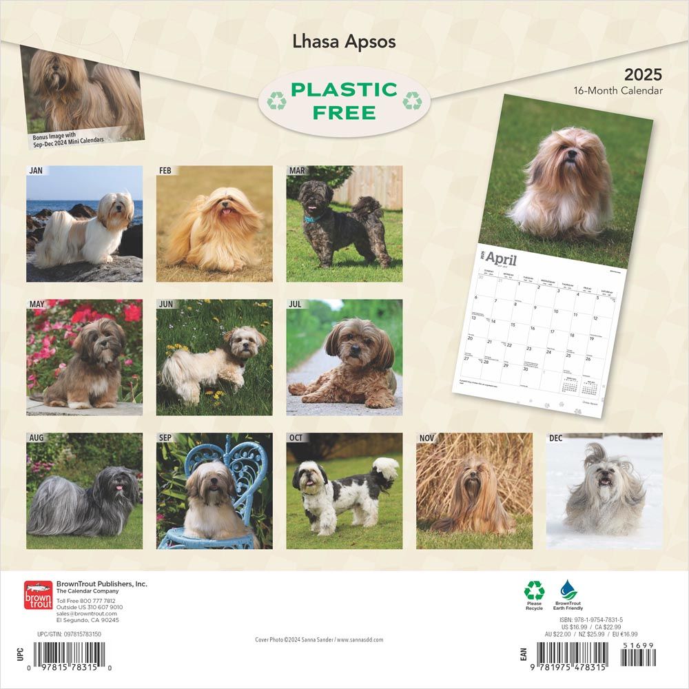 2025 Lhasa Apsos Calendar