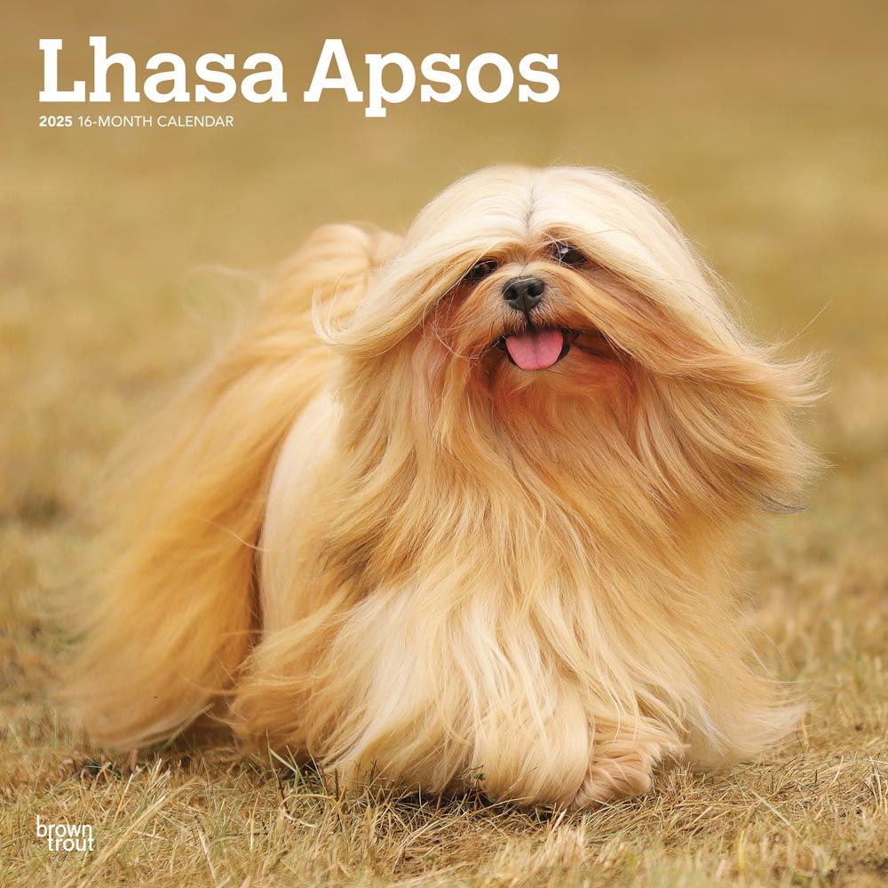 2025 Lhasa Apsos Calendar