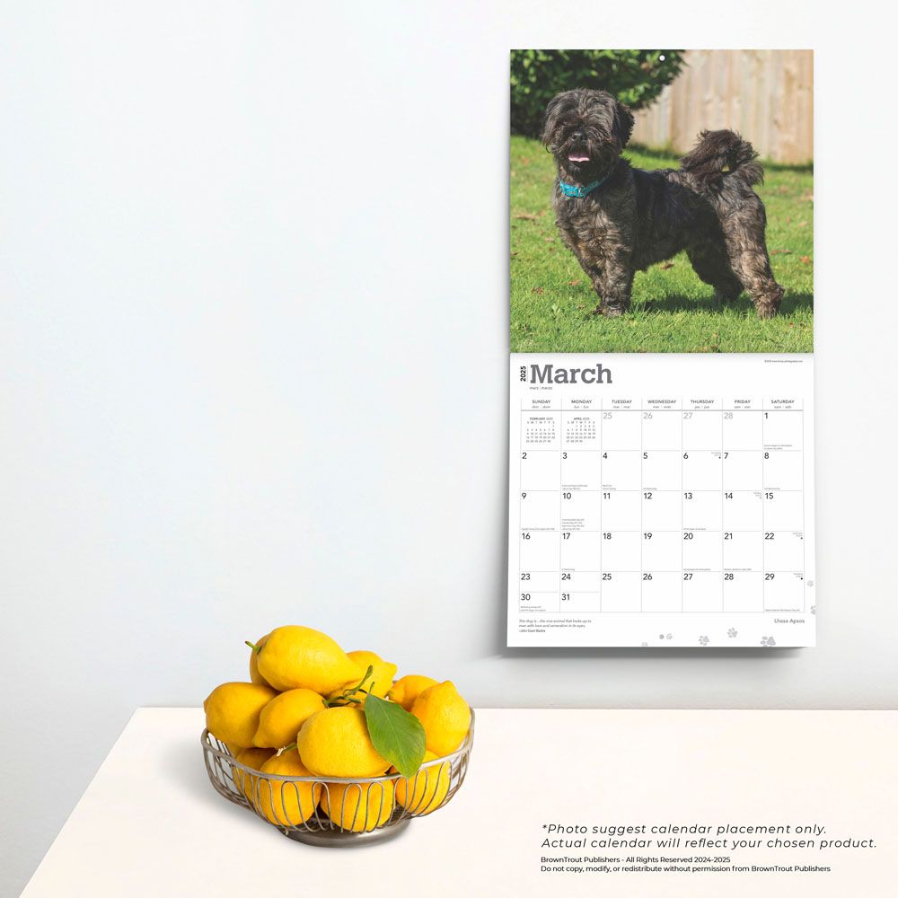 2025 Lhasa Apsos Calendar