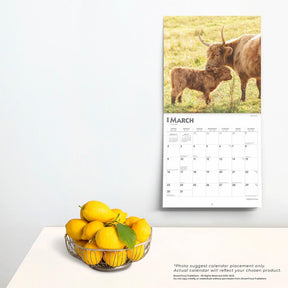 2025 Highland Cows Calendar