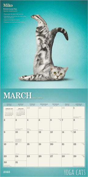 2025 Yoga Cats Calendar