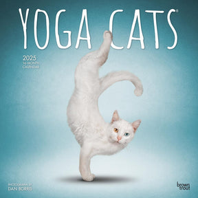 2025 Yoga Cats Calendar