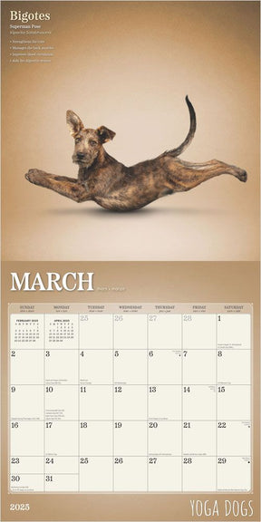 2025 Yoga Dogs Calendar