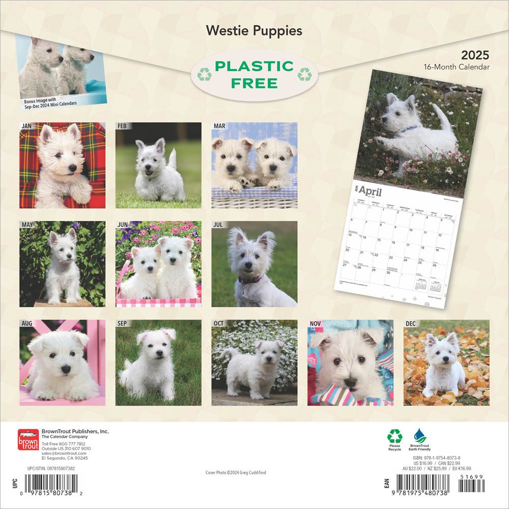 2025 West Highland White Terrier Puppies Calendar