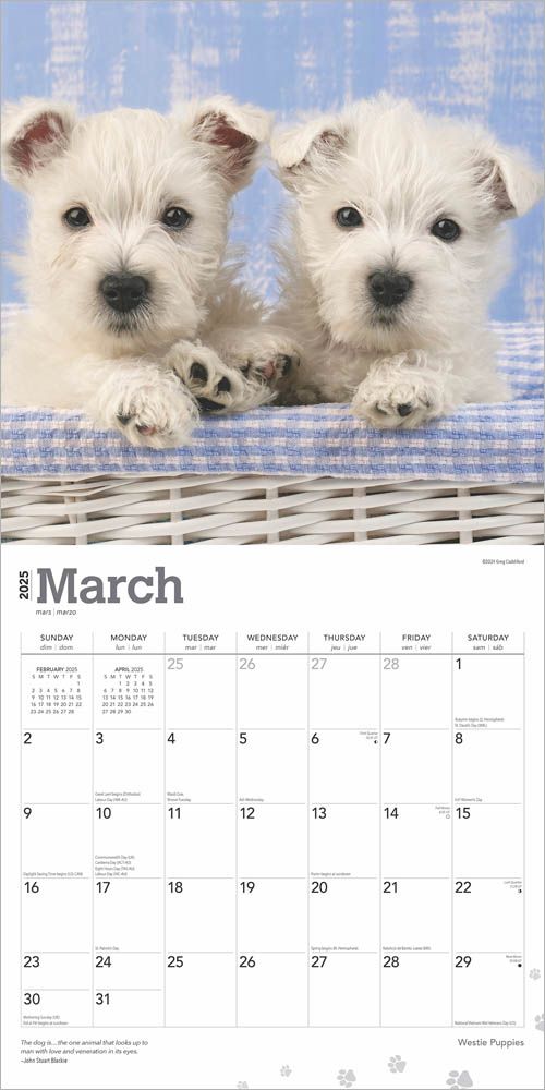 2025 West Highland White Terrier Puppies Calendar